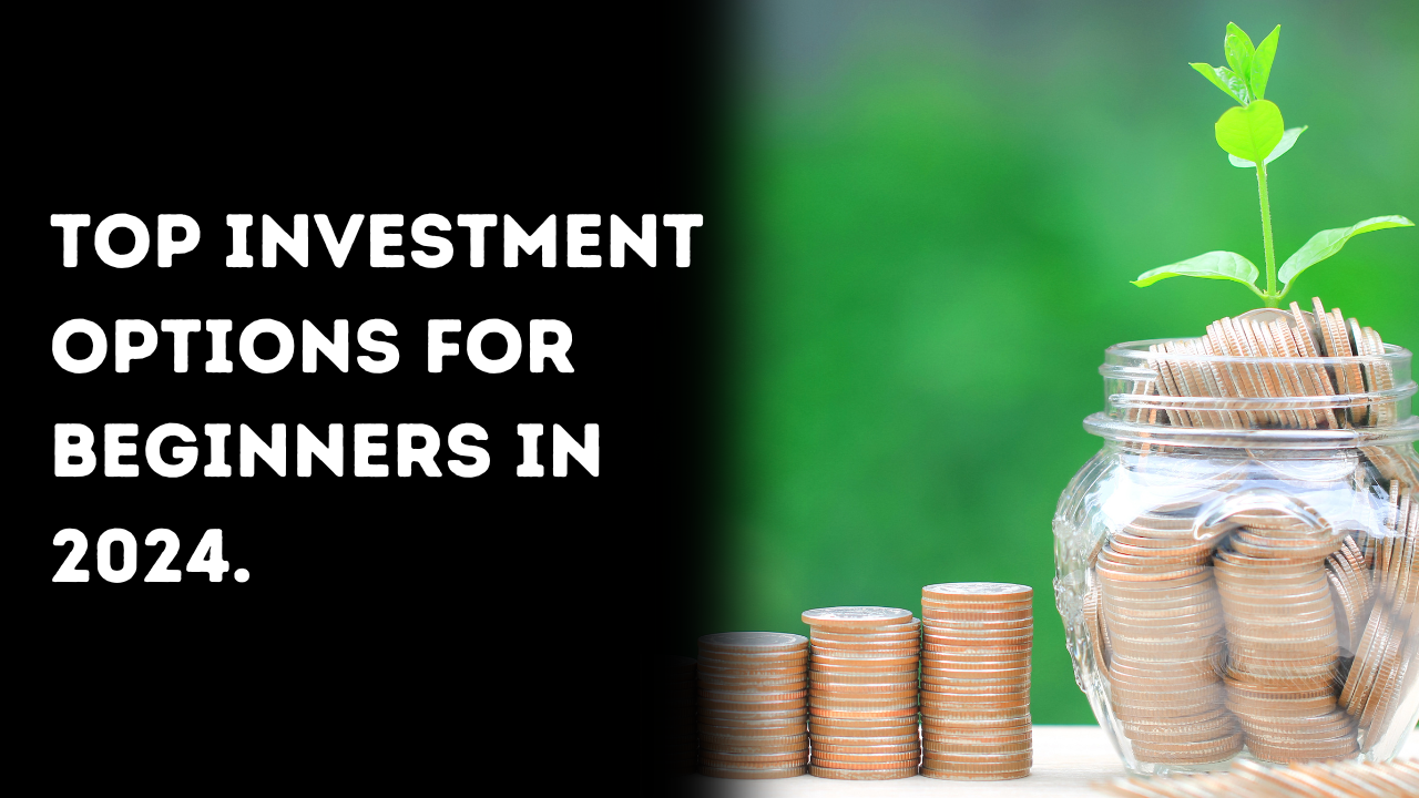 Top Investment Options for Beginners in 2024