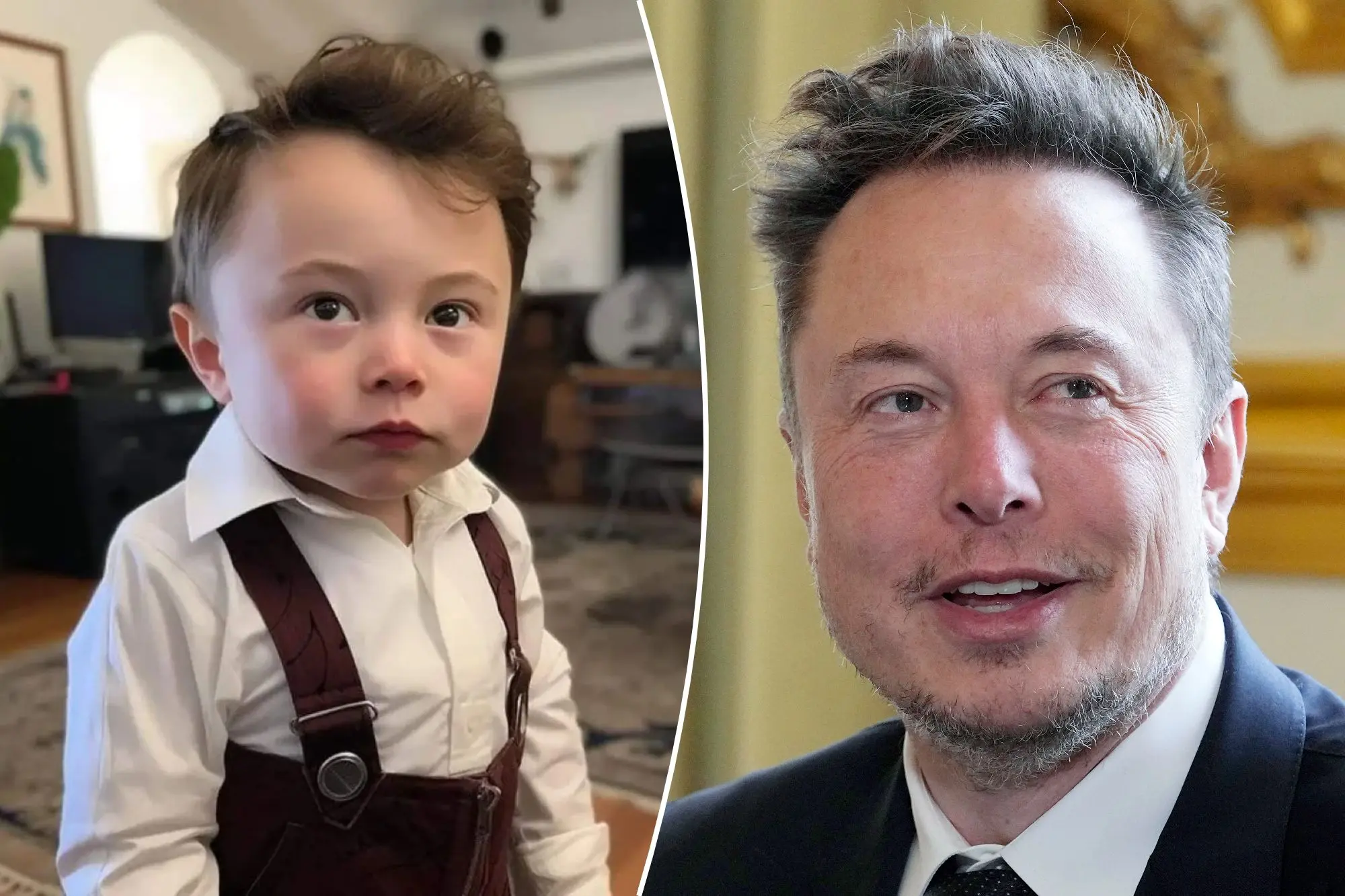 Elon Musk Welcomes 12th Child with Neuralink Director Shivon Zilis