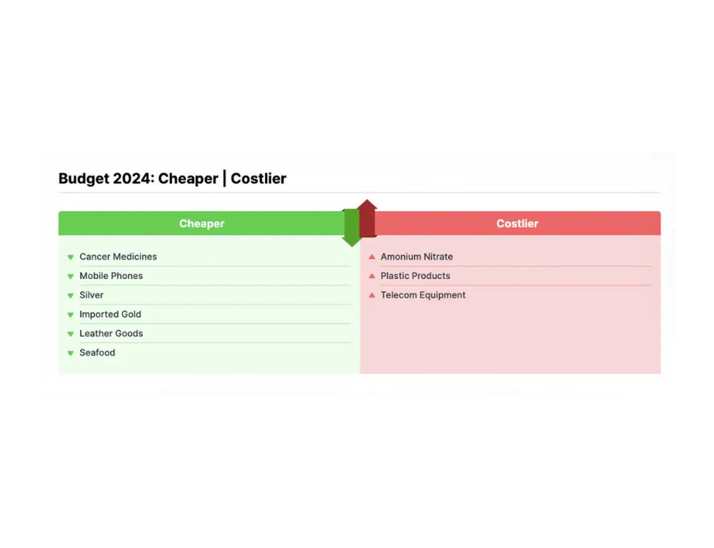 Budget 2024: What Is Cheaper, What Is Costlier?