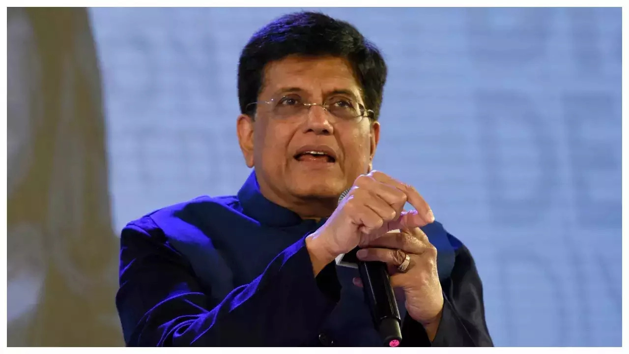 Piyush Goyal Criticizes E-Commerce Growth in India