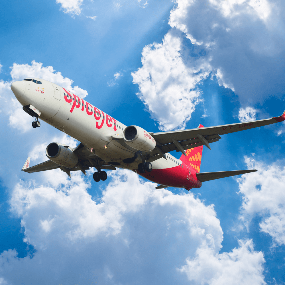 SpiceJet Faces Financial Struggles, Owes Rs 427 Crore in Statutory Dues