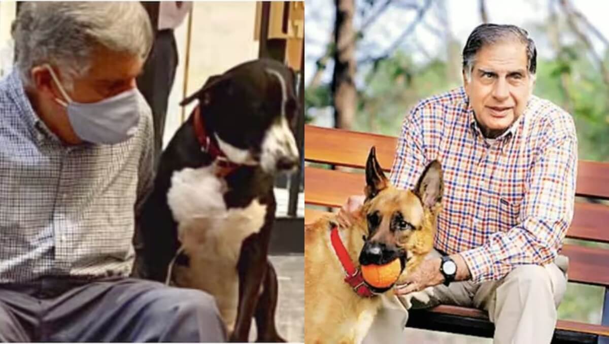 Ratan Tata’s Will: Special Provisions for Pet Dog Tito and Longtime Butler Subbaiah