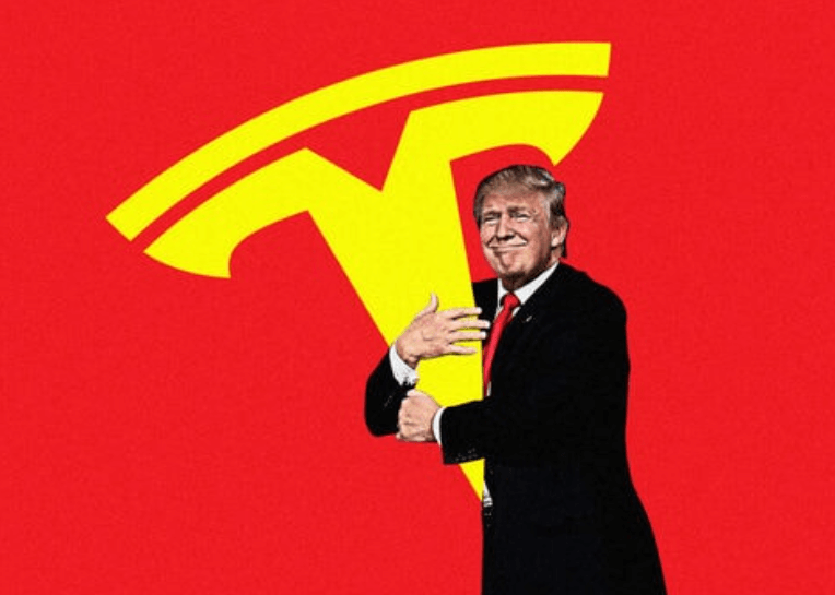 Tesla Stock Surges as Musk-Backed Trump Wins US Elections