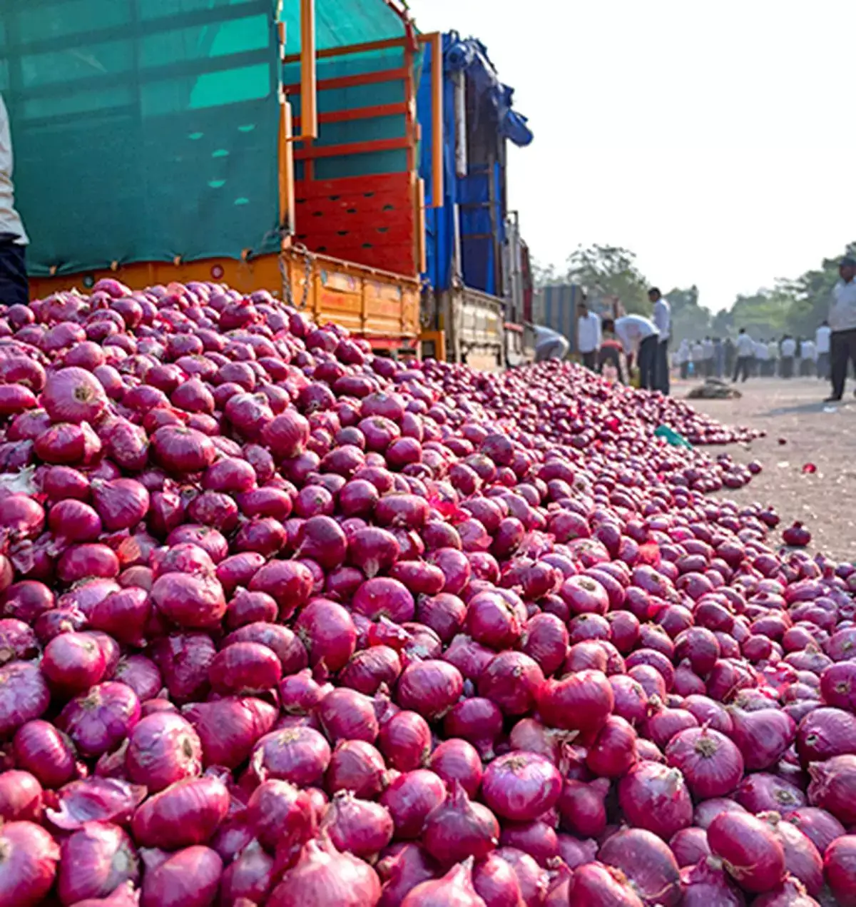 Onion Prices Surge to ₹80 in Delhi, Mumbai, Hitting 5-Year High