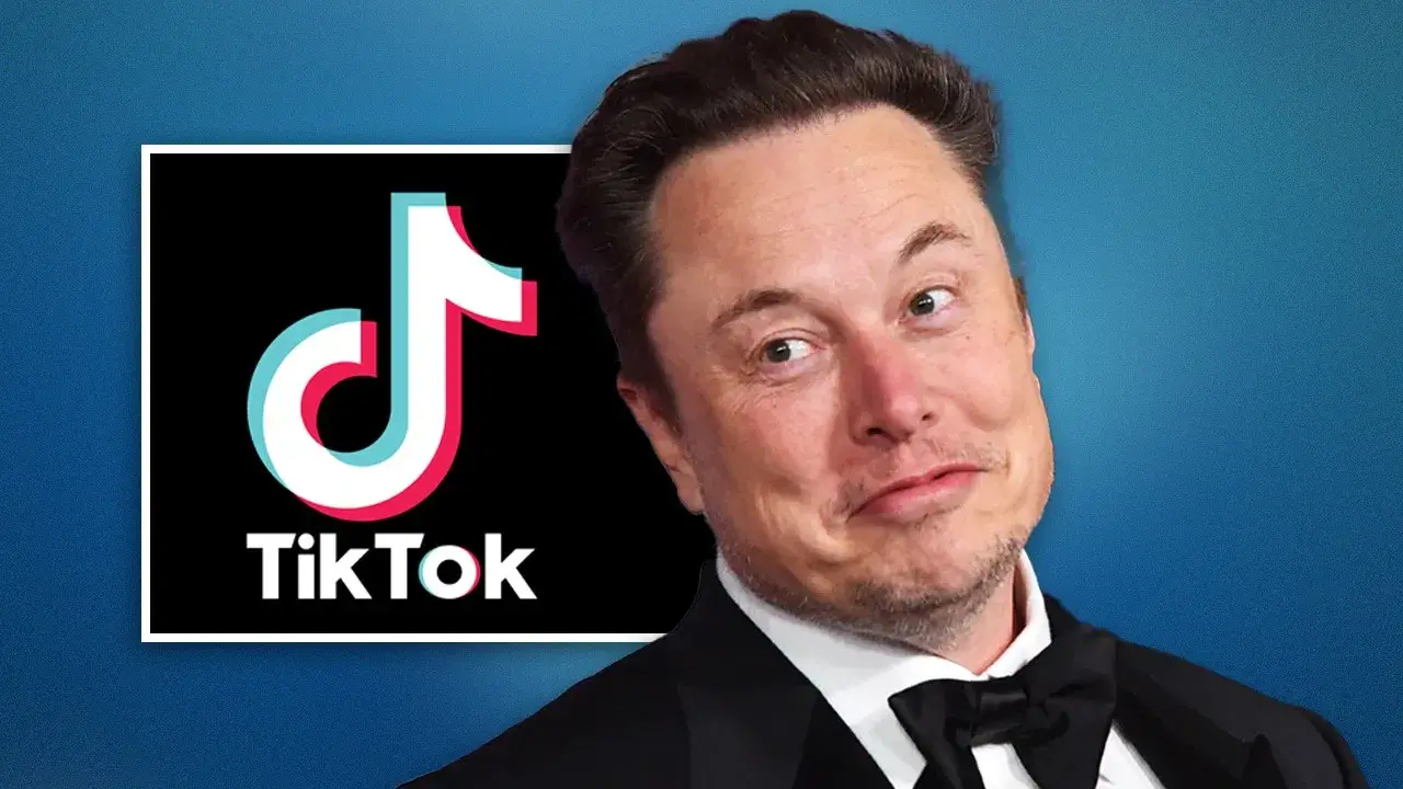  Elon Musk-TikTok Deal? TikTok Calls Rumors Pure Fiction