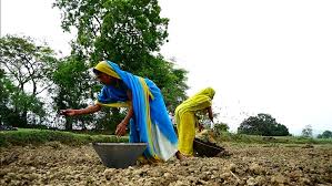 Bihar's Development Needs Sustainable Solutions