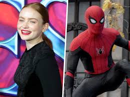 Sadie Sink's Surprising Spider-Man Casting Story